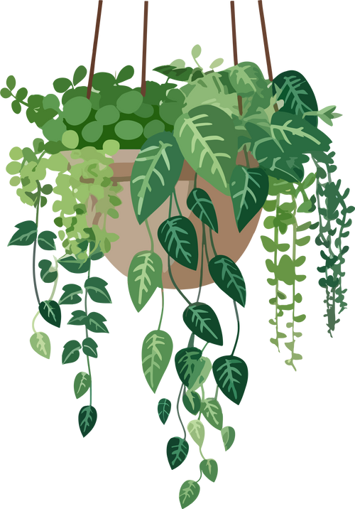 Hanging plants